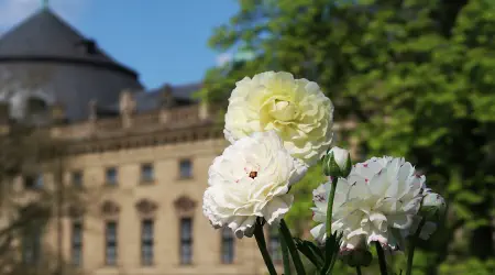 Würzburg Residence Palace