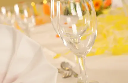 Haftungshinweis Hotel Strauss Würzburg