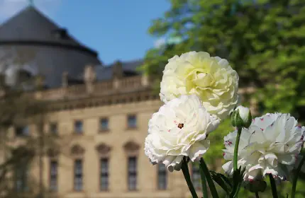 Sehenswürdigkeiten Würzburg